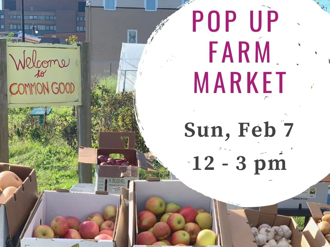 Burdock, Bees, and Butternut: Join us in welcoming our new farm team!