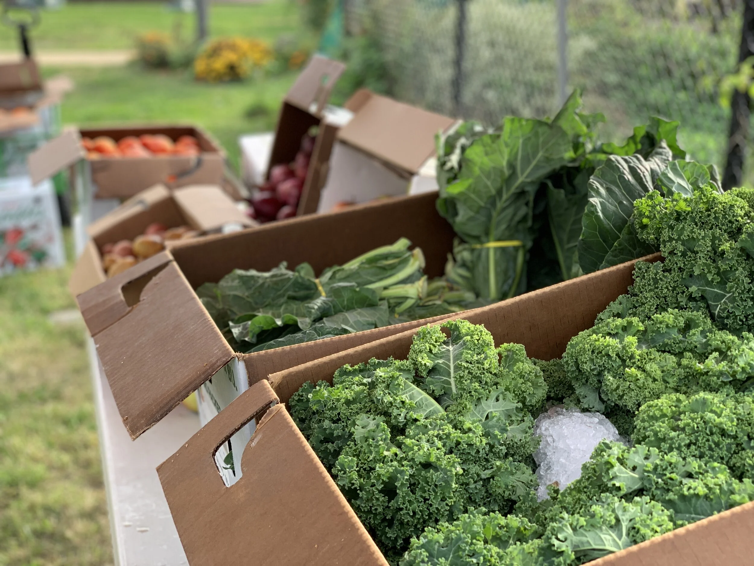 Pre-order for March 20 Farm Market