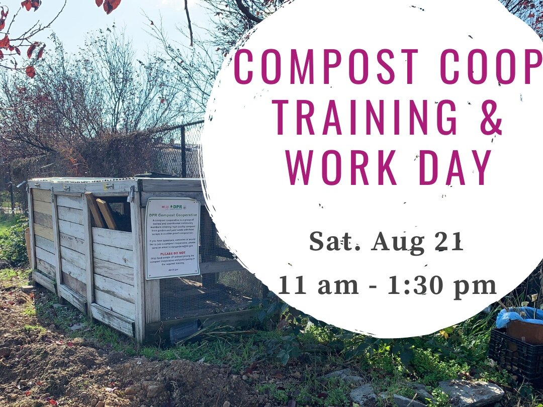 Upcoming Volunteer Opportunities