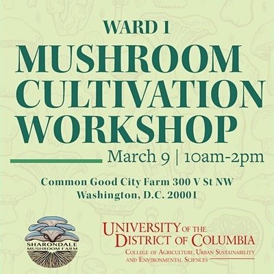 Mushroom Cultivation Workshop (Copy)