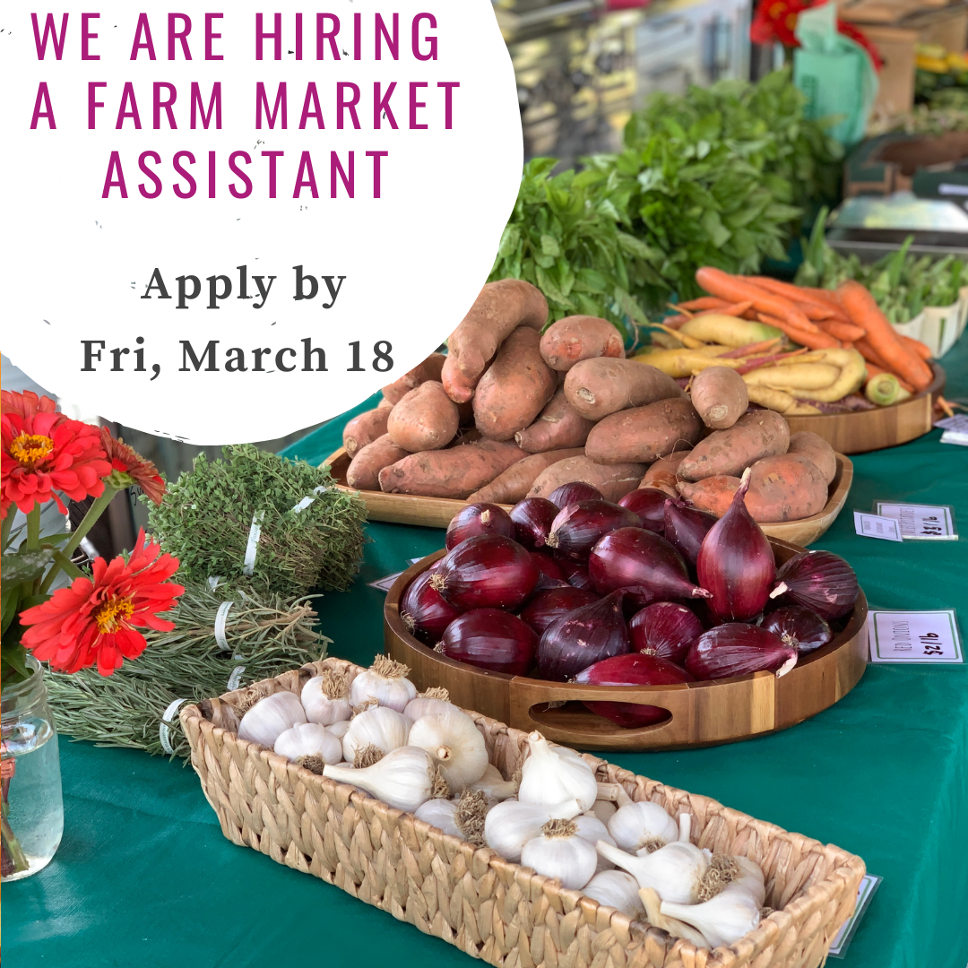 We are hiring a Farm Market Assistant (Copy)