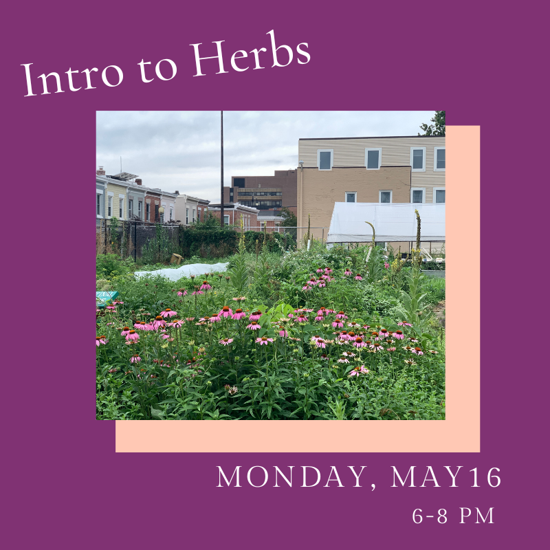 Herbs_flyer_051622.png