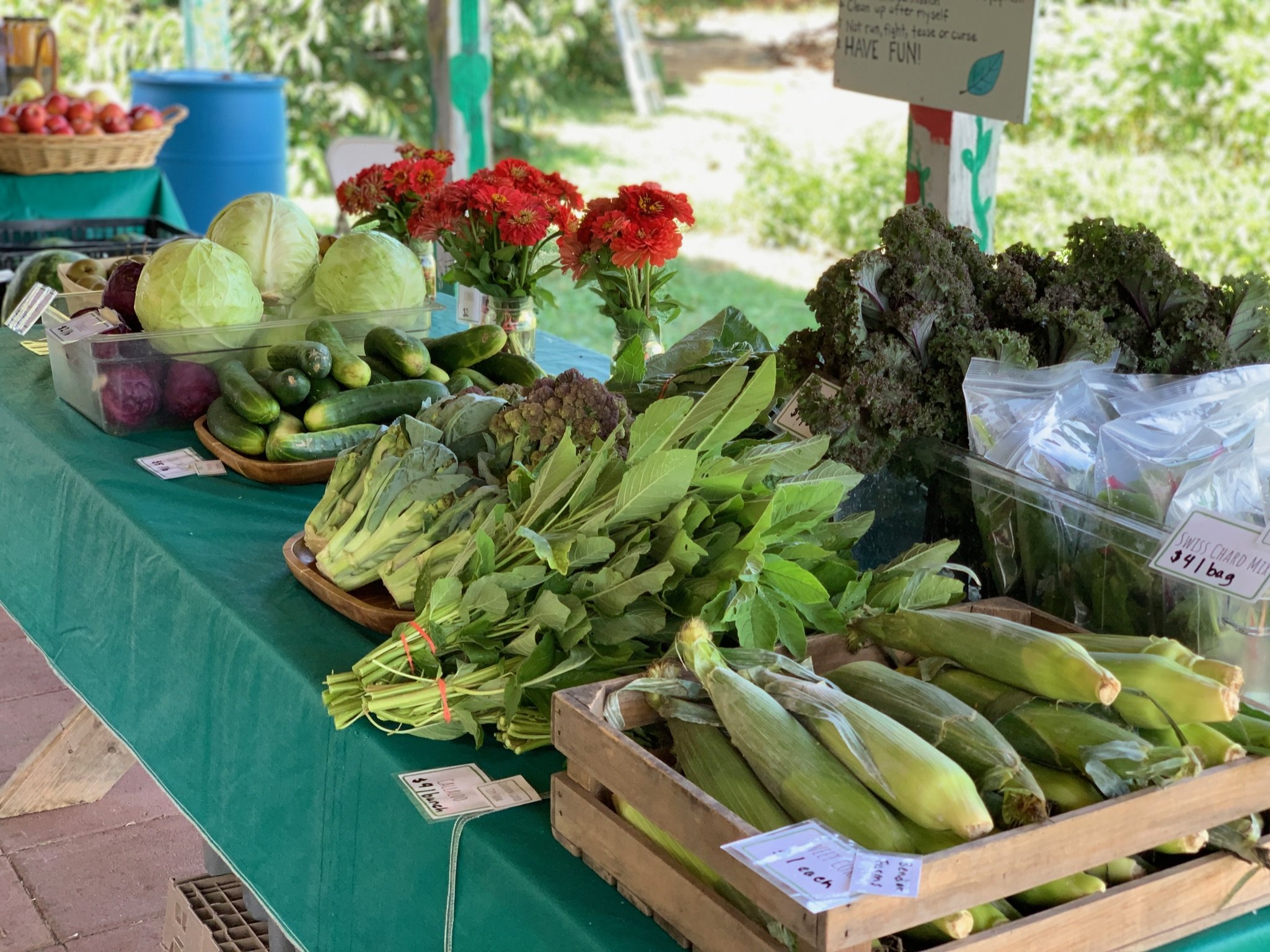 farm market photo1.JPG