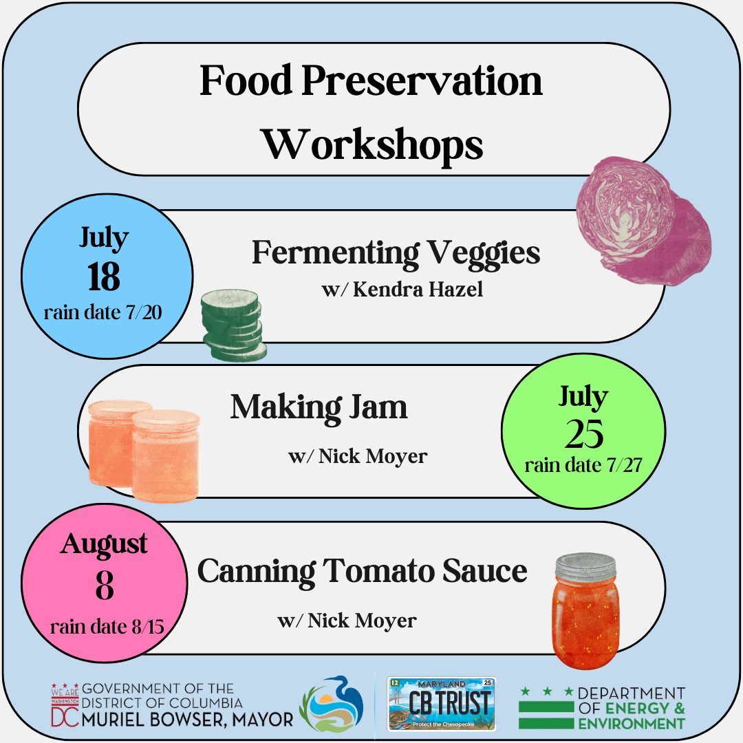 Food Preservation + Mending (2).png