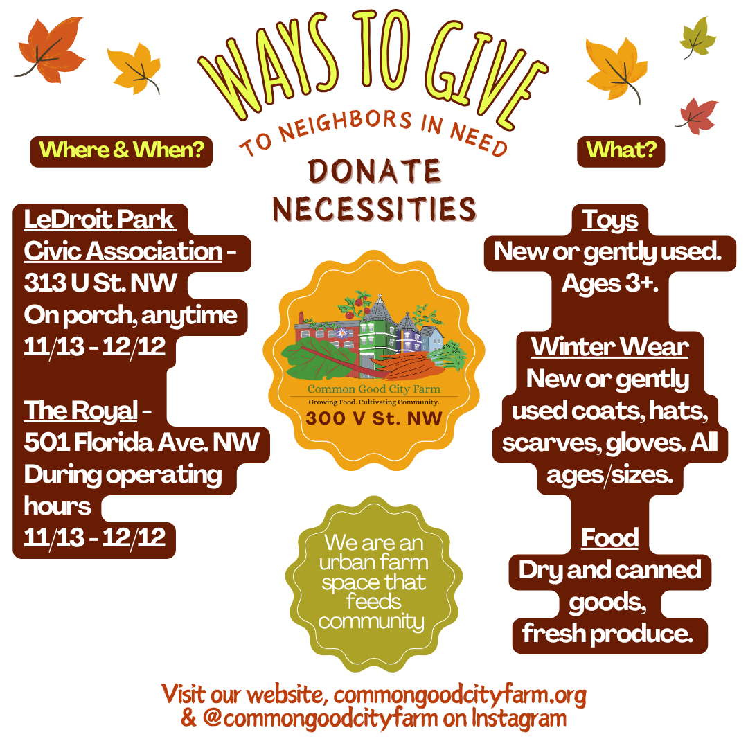 UPDATED Necessities - Printable.png