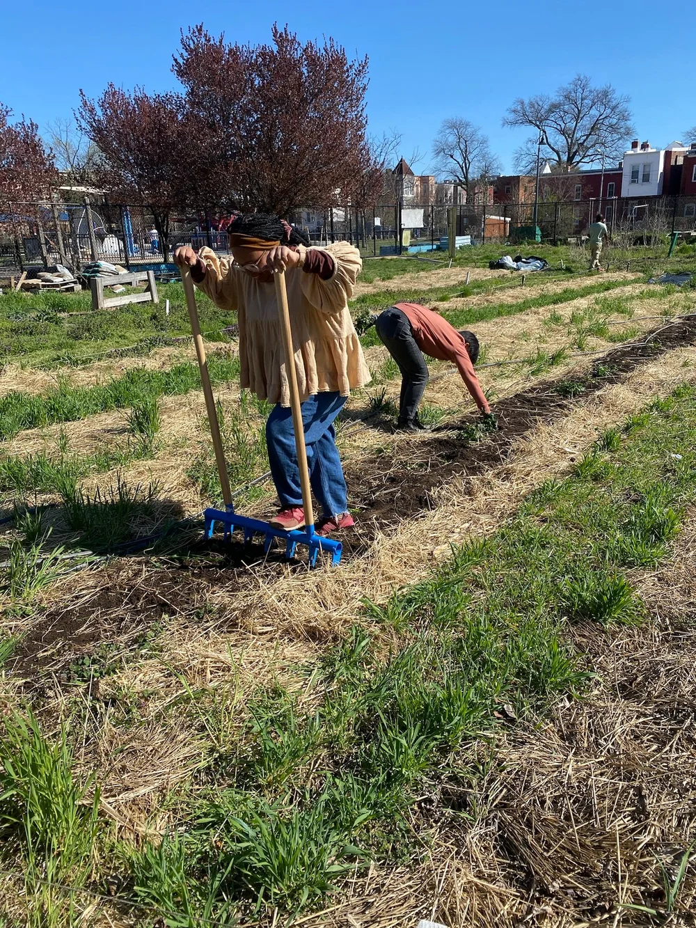 Certificate Program in Regenerative Agriculture — Common Good City Farm