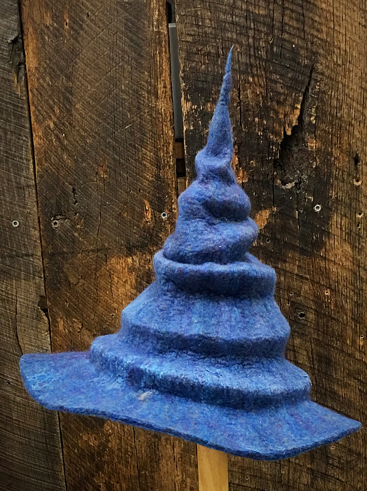 Sea Witch Hat