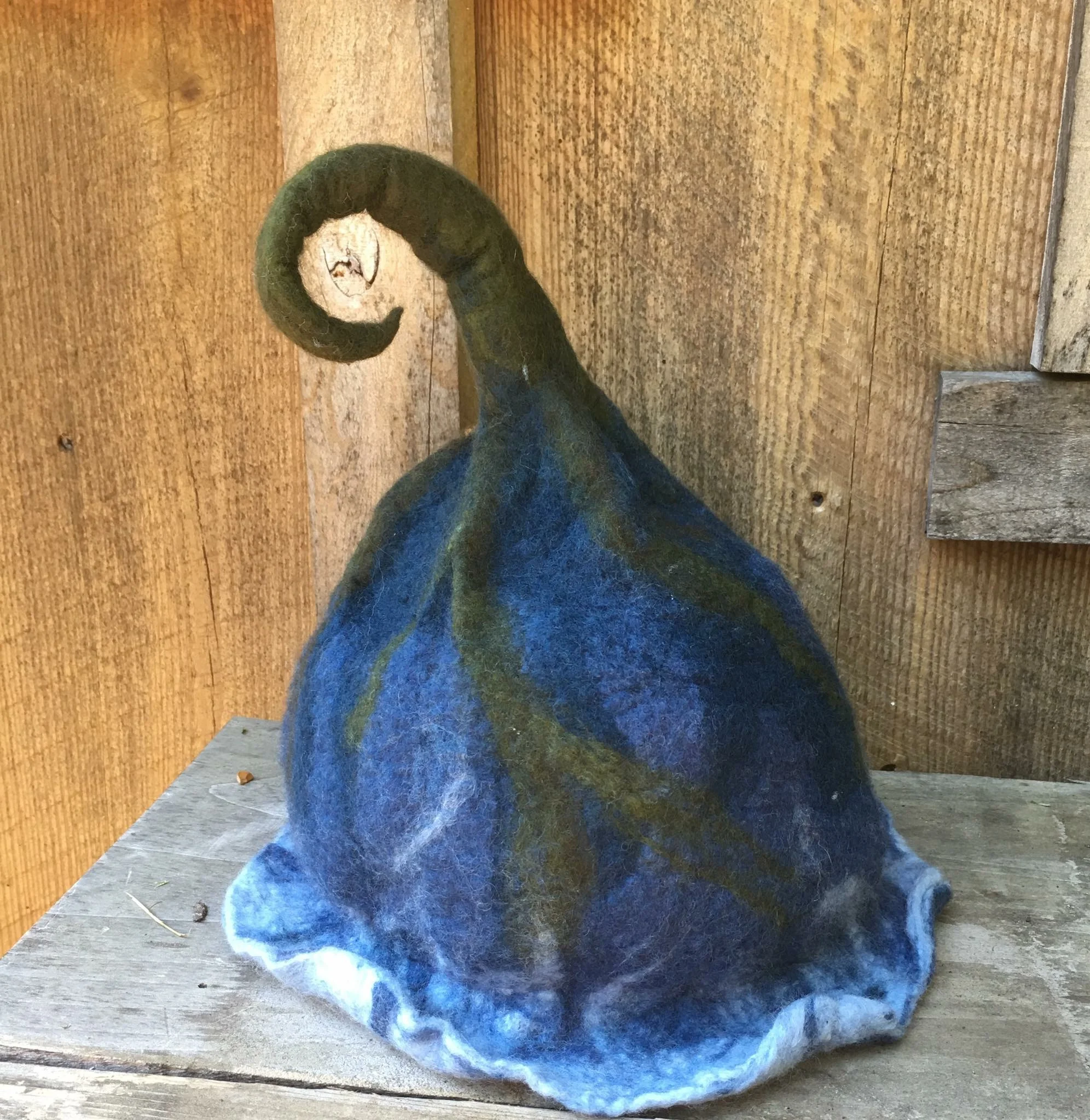 Blueberry Pixie hat.JPG