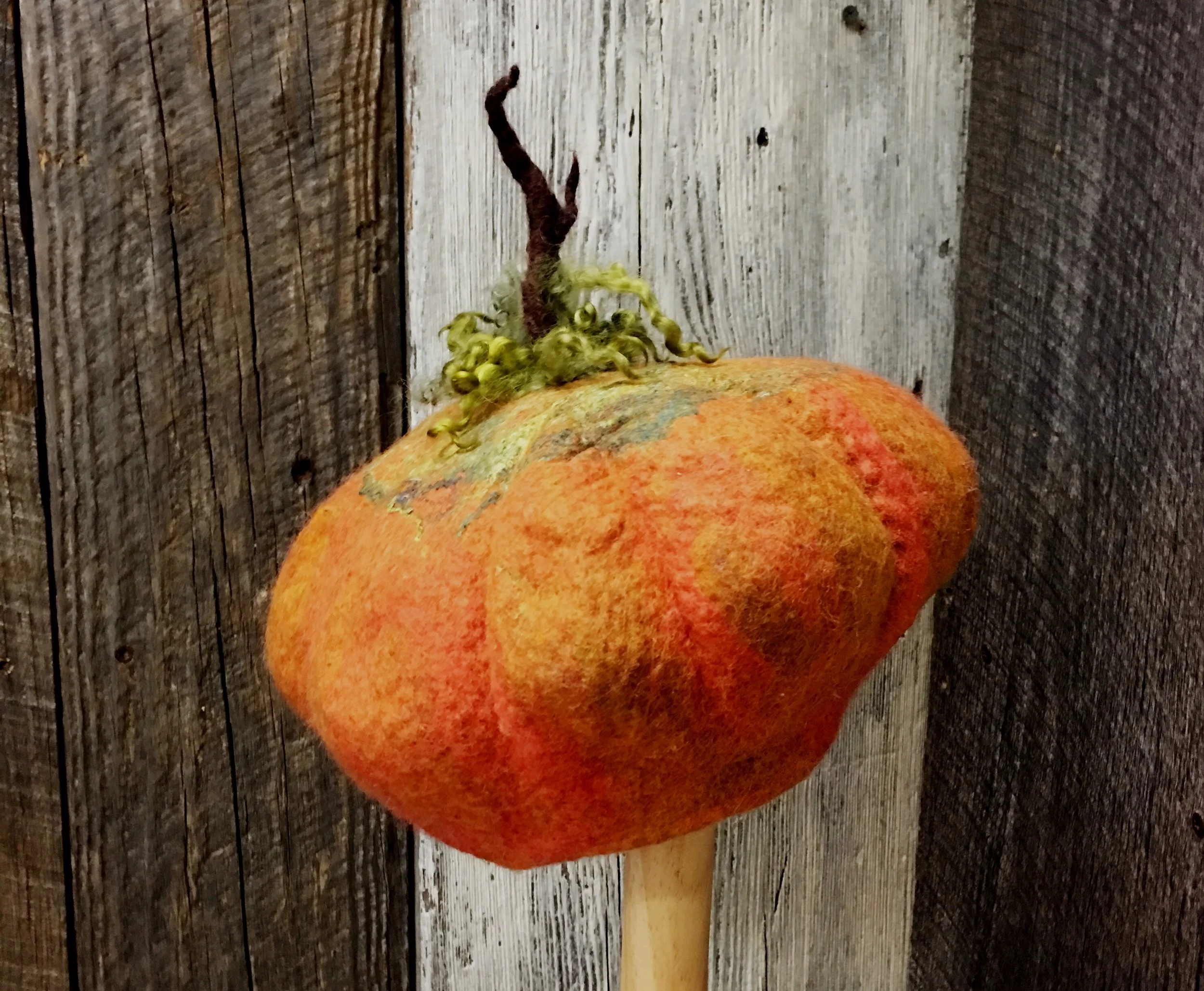 Pumpkin Tam.JPG