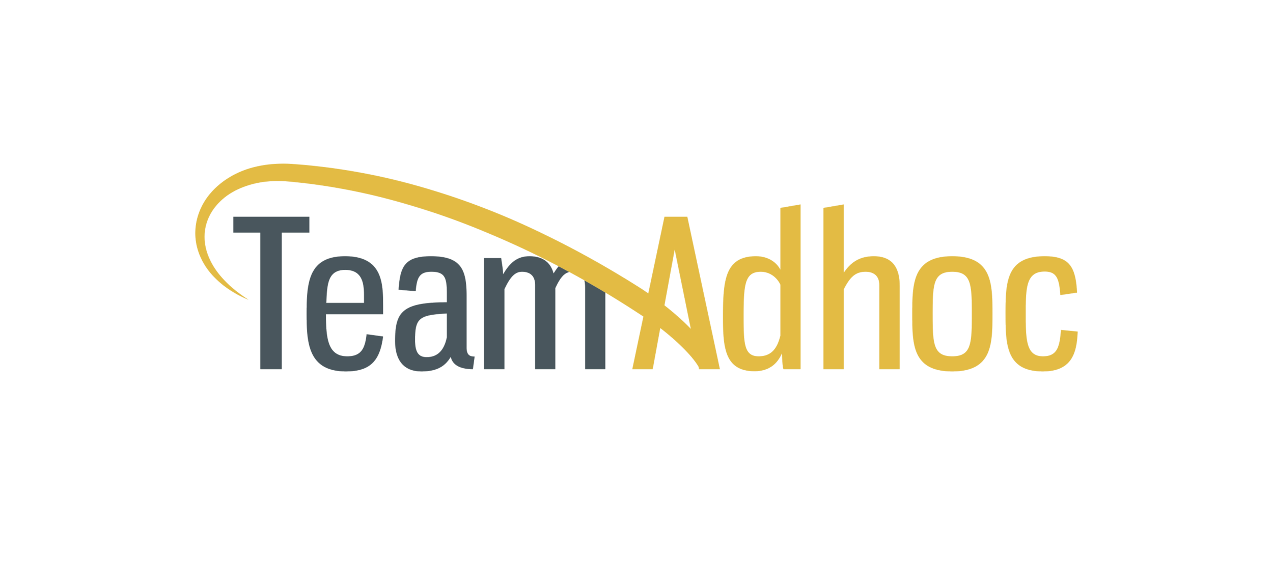 Team Adhoc