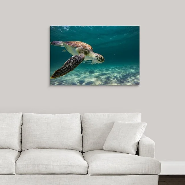 Easy Glider 24x36.jpg