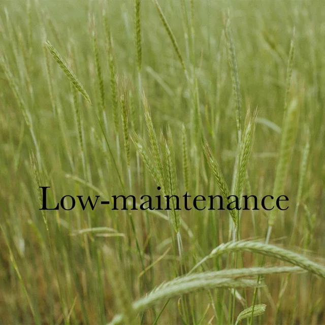 Low-Maintenance