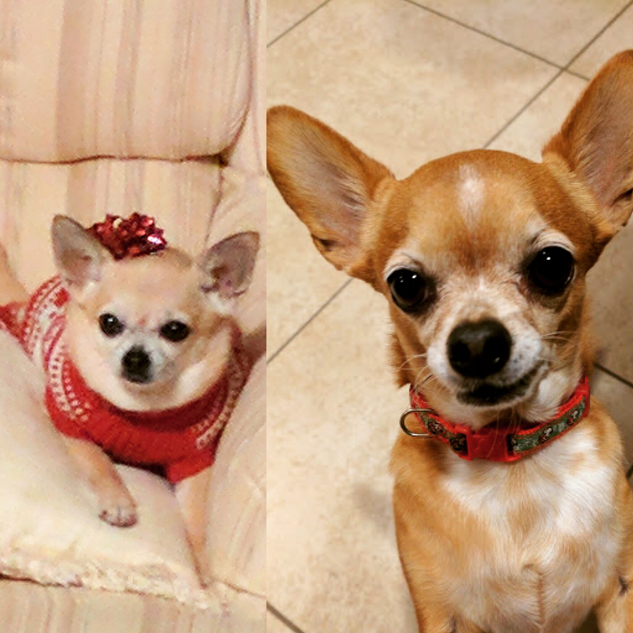 The Benefit of Trust