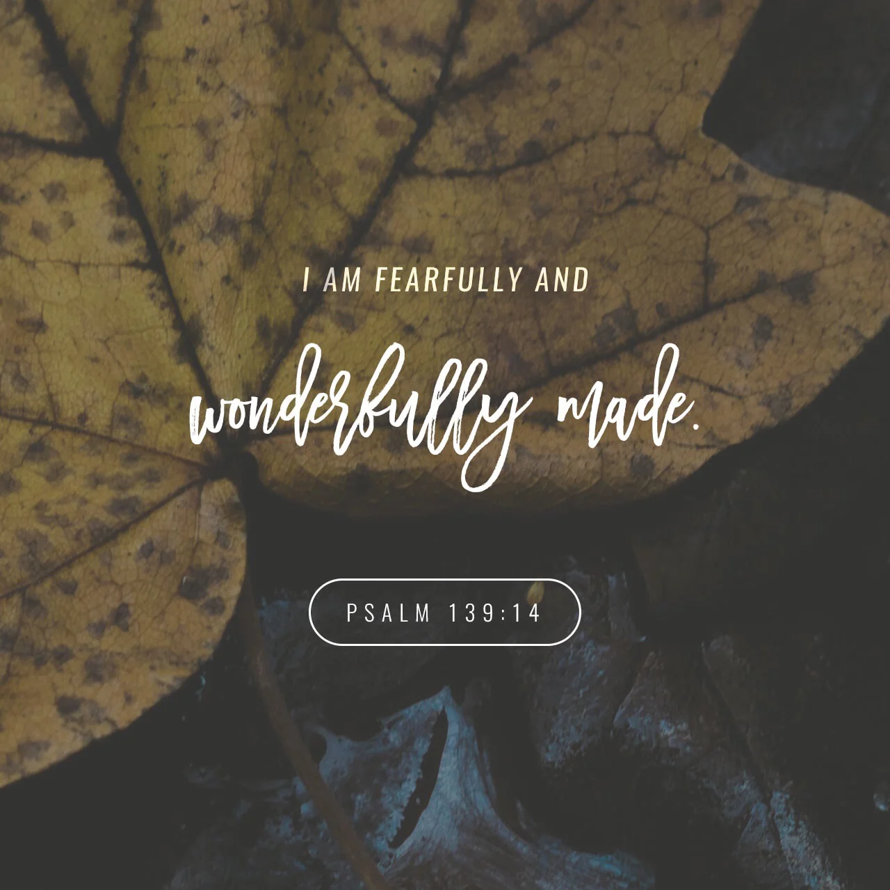 You Like It. Just Admit It.