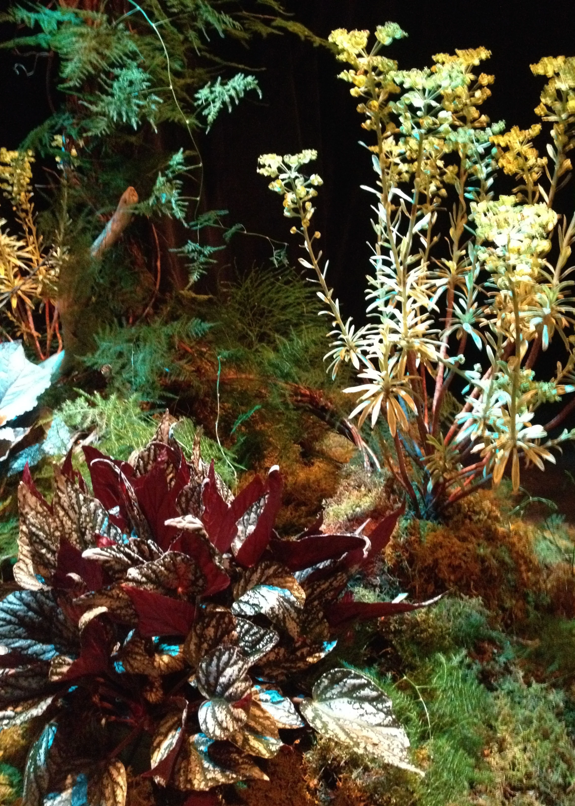 VisualDesign_FOF_TreeofLifeDetailLandscapeII.jpg