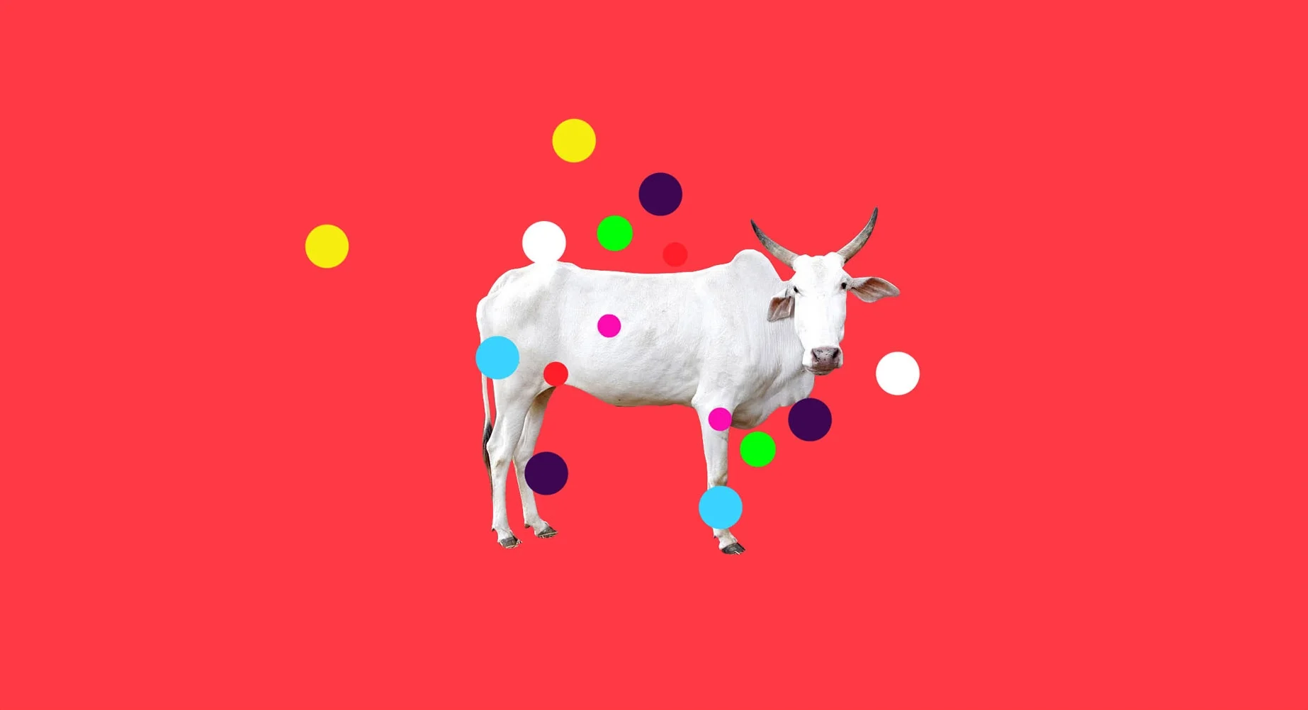 Creative / Art Direction