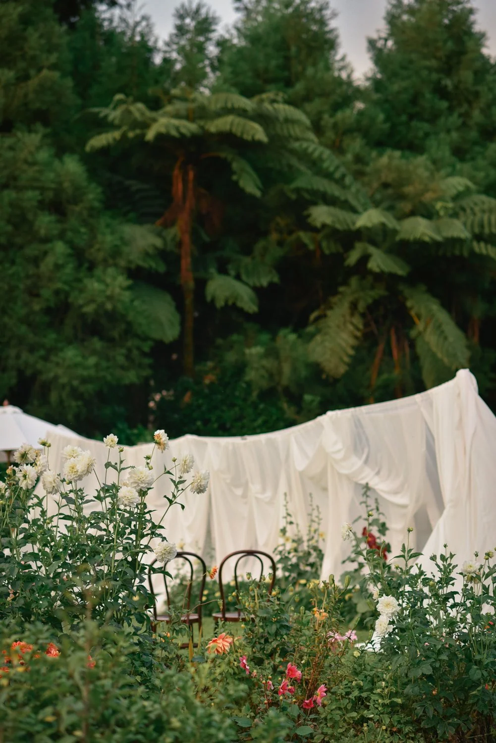 NewZealand-analogue-wedding-photographer-SarahBurton-109.jpg
