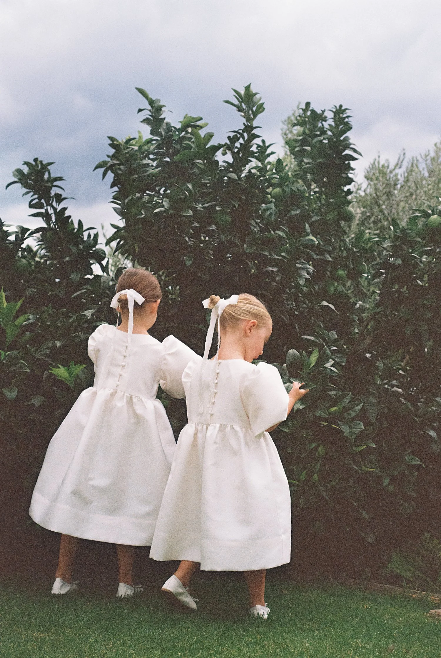 NewZealand-analogue-wedding-photographer-SarahBurton-140.jpg