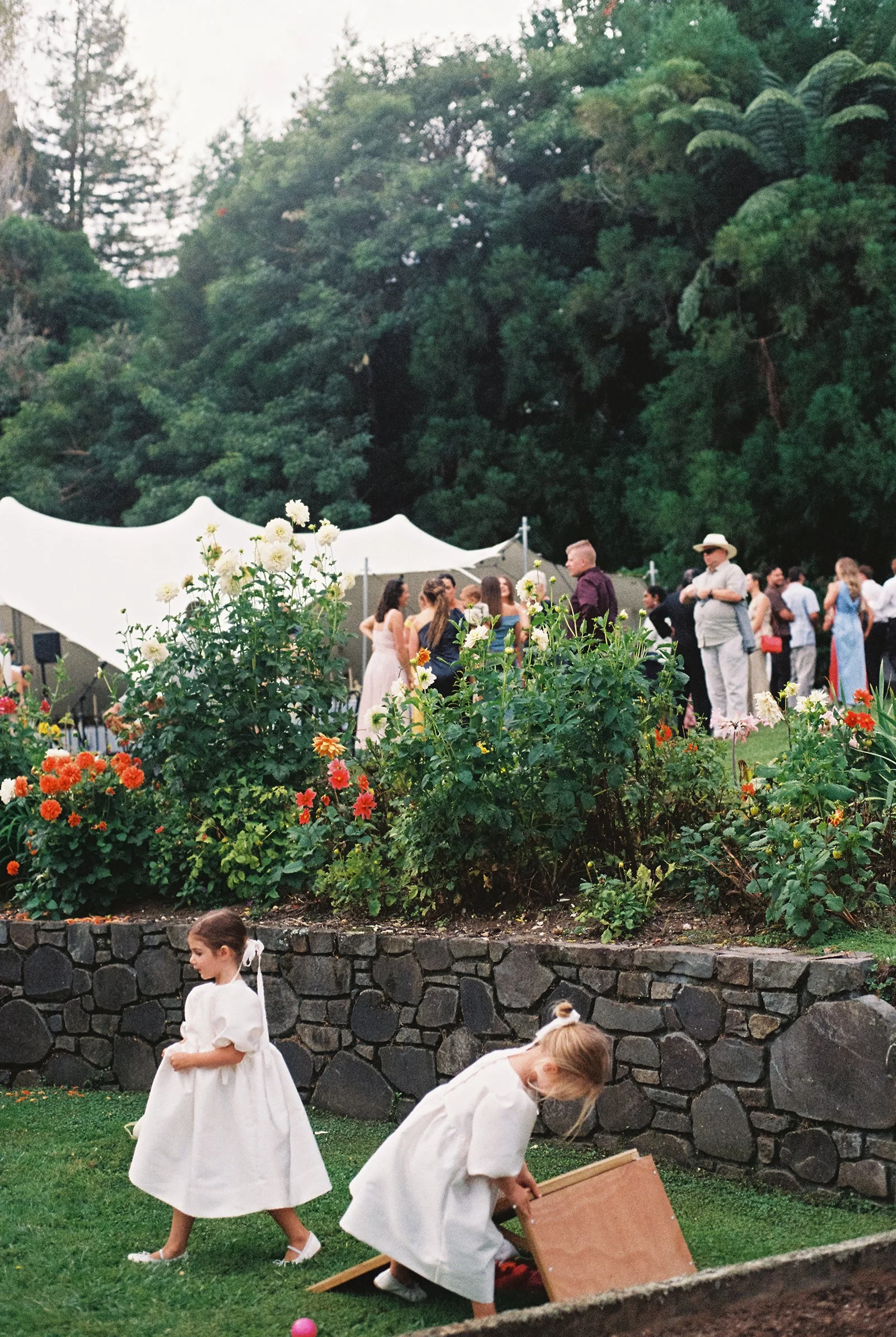 NewZealand-analogue-wedding-photographer-SarahBurton-145.jpg