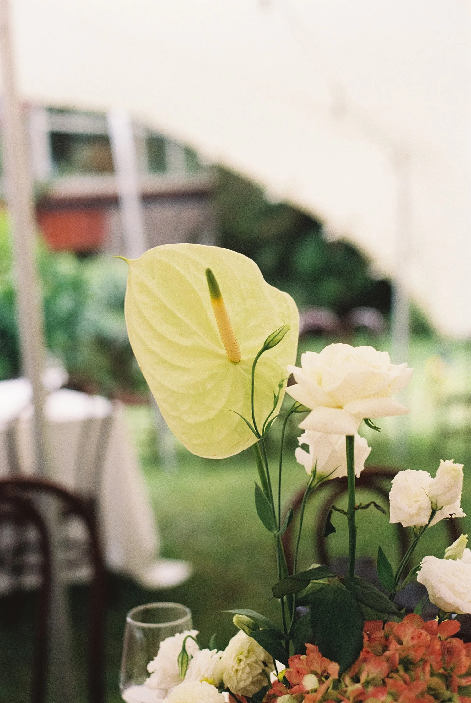 NewZealand-analogue-wedding-photographer-SarahBurton-147.jpg