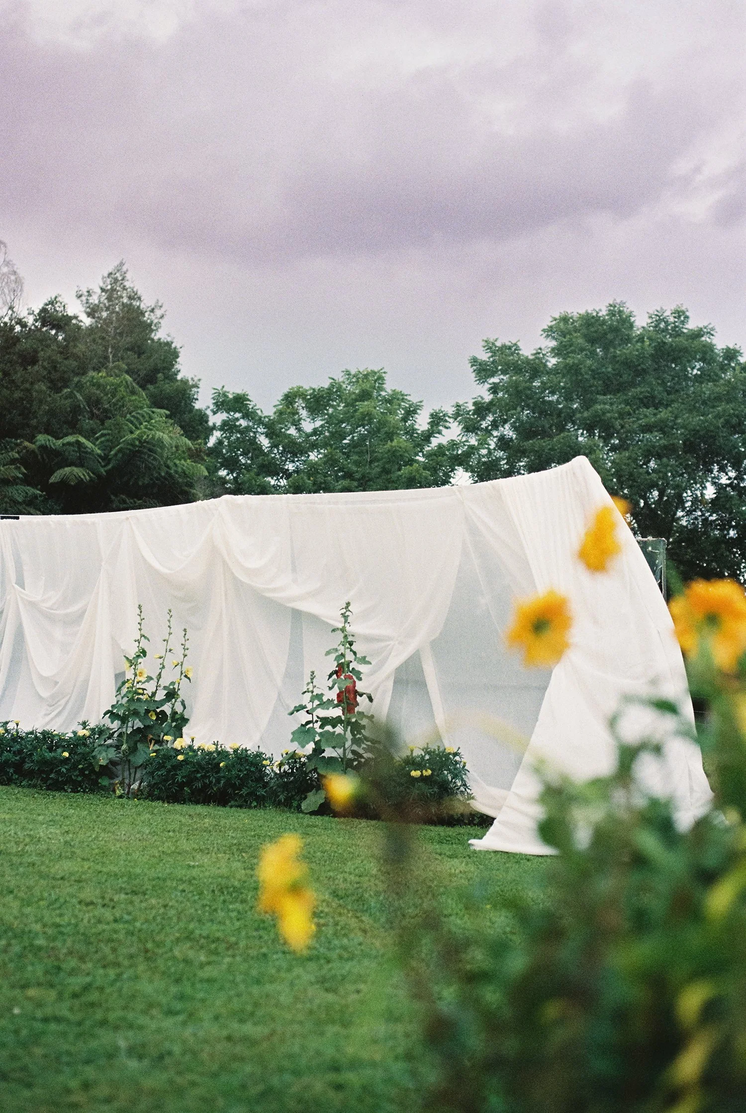 NewZealand-analogue-wedding-photographer-SarahBurton-146.jpg