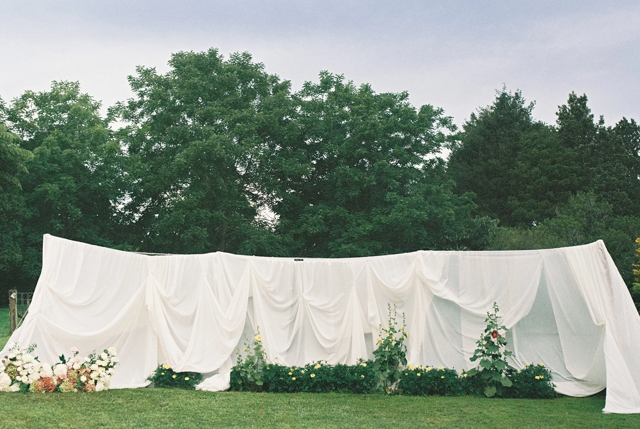 NewZealand-analogue-wedding-photographer-SarahBurton-157.jpg