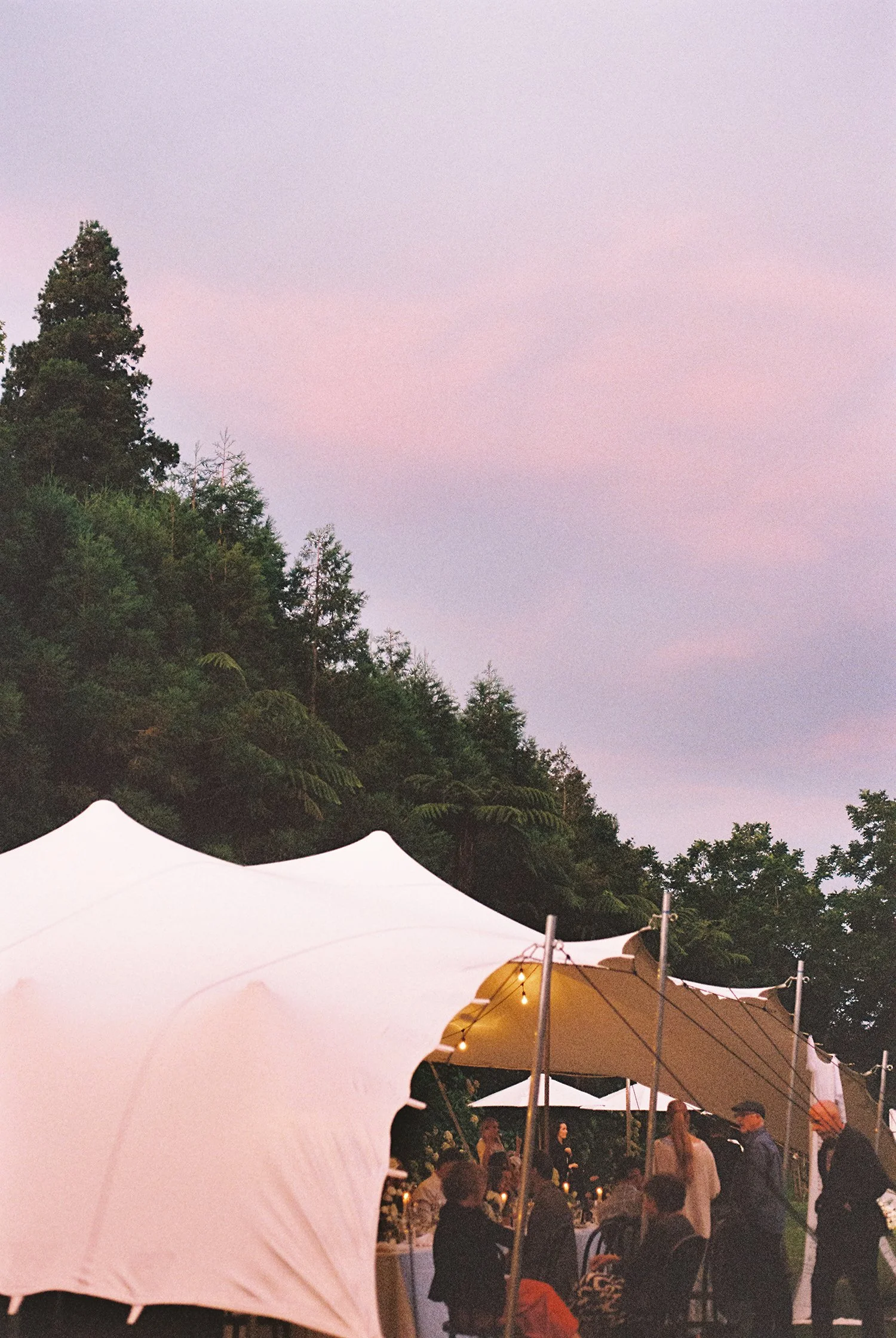 NewZealand-analogue-wedding-photographer-SarahBurton-164.jpg
