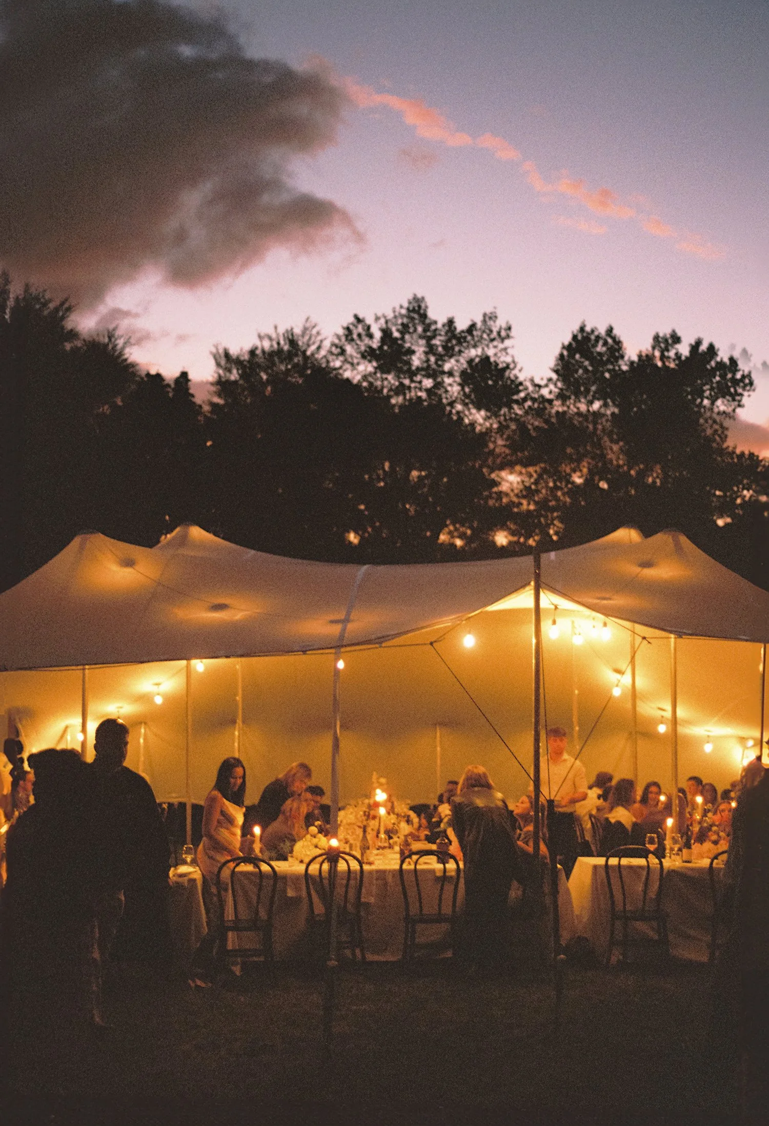 NewZealand-analogue-wedding-photographer-SarahBurton-165.jpg