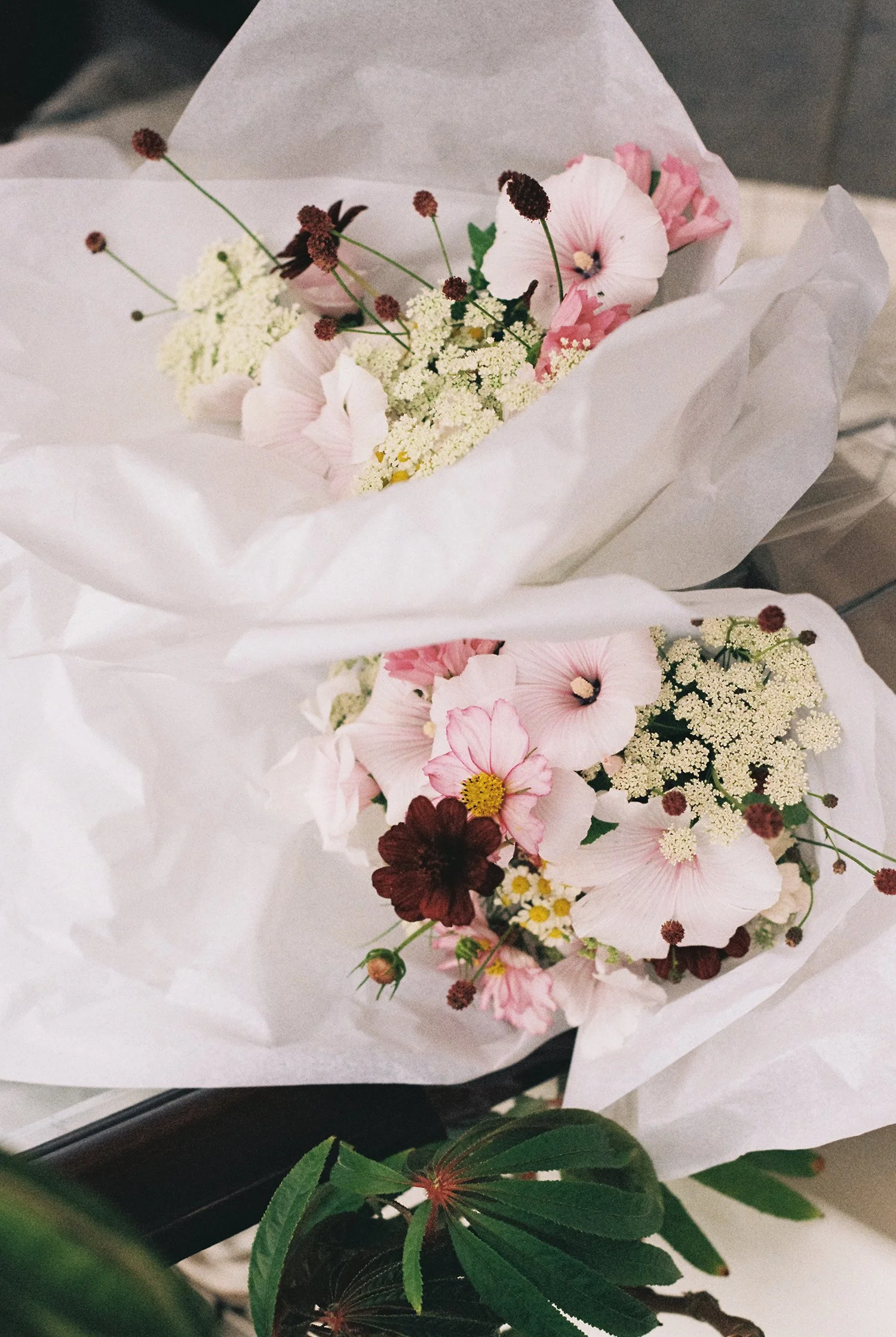 HackneyTownHall-wedding-analogue-SarahBurton-2.jpg