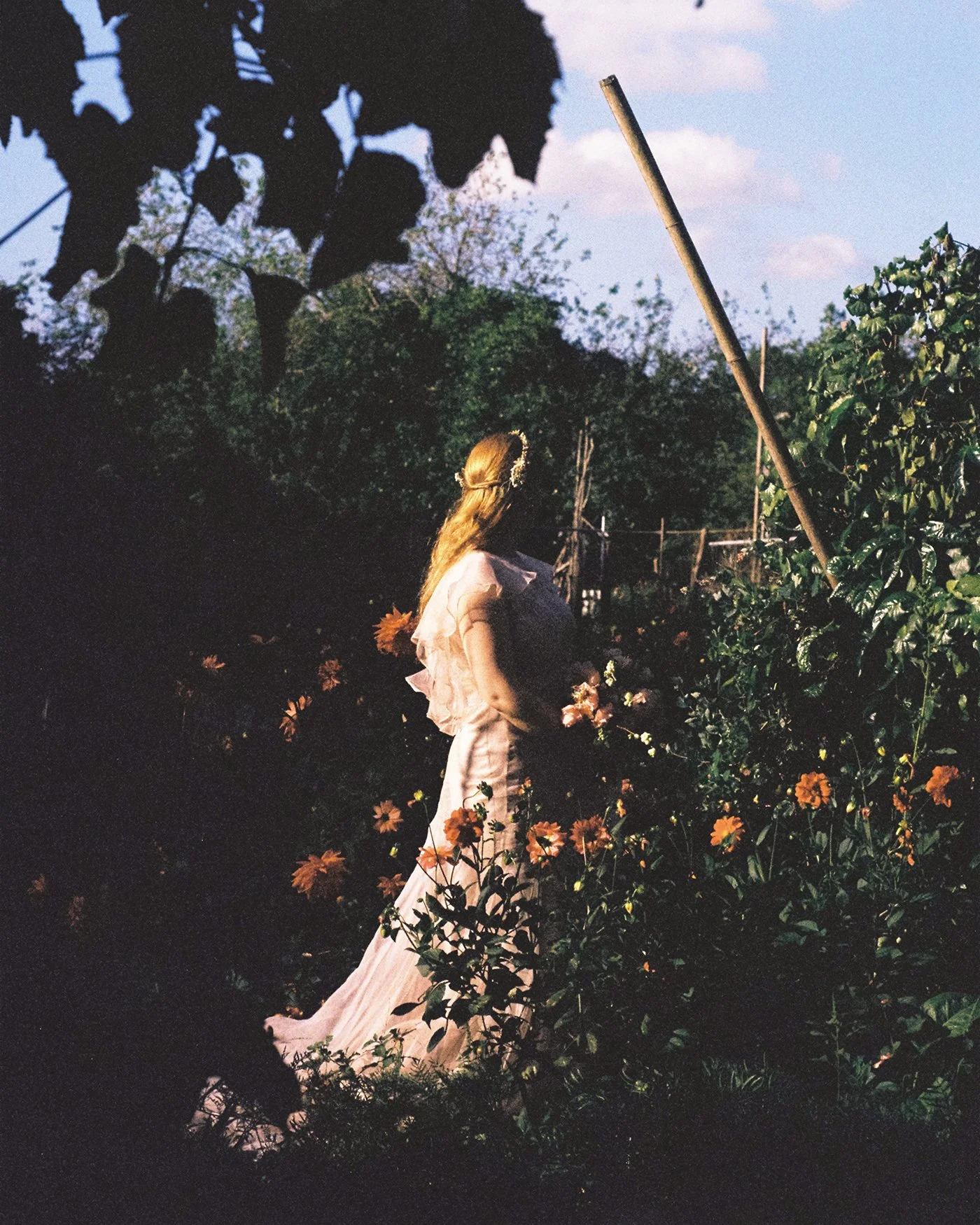 LoveJamesAucklandWedding35mmFilm25.jpg