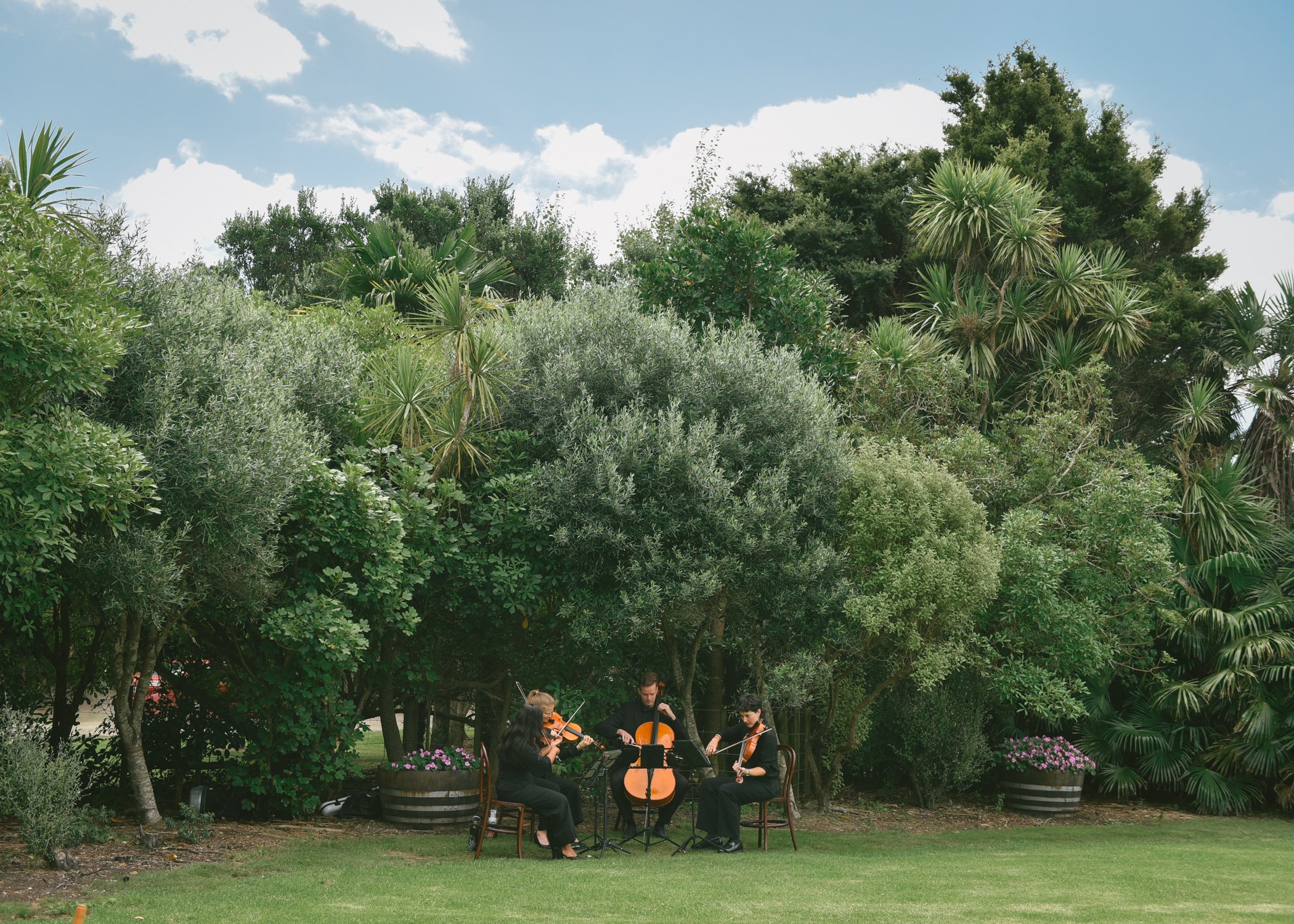 SarahBurtonWeddings_Waiheke-5.jpg