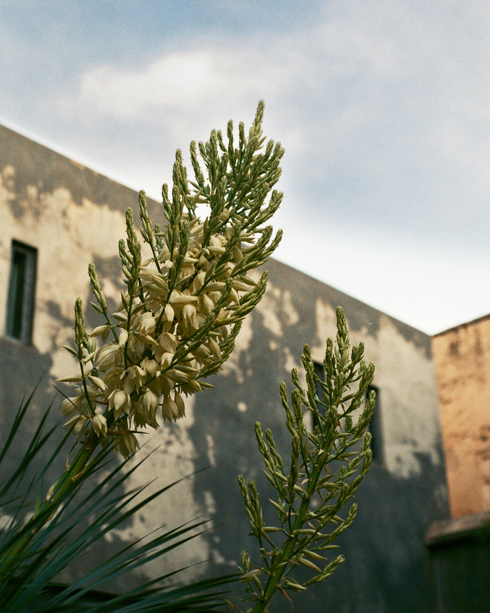 SarahBurtonWeddings_Marrakesh_11.jpg