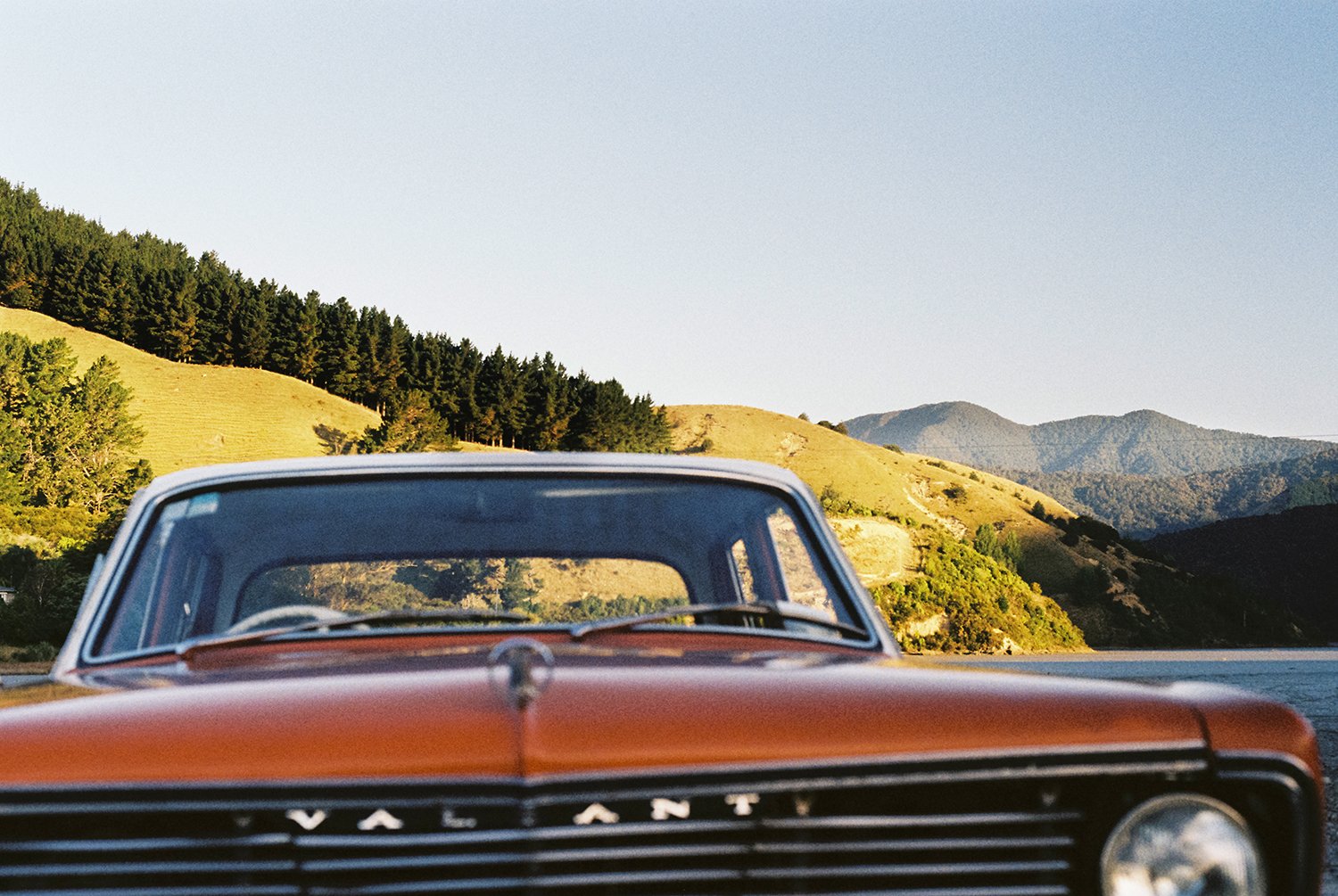 SarahBurtonWeddings_NelsonNZ_35mmFilm_16.jpg