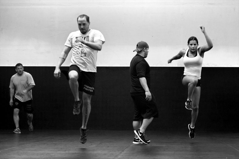 FallonFox3-copy.jpg