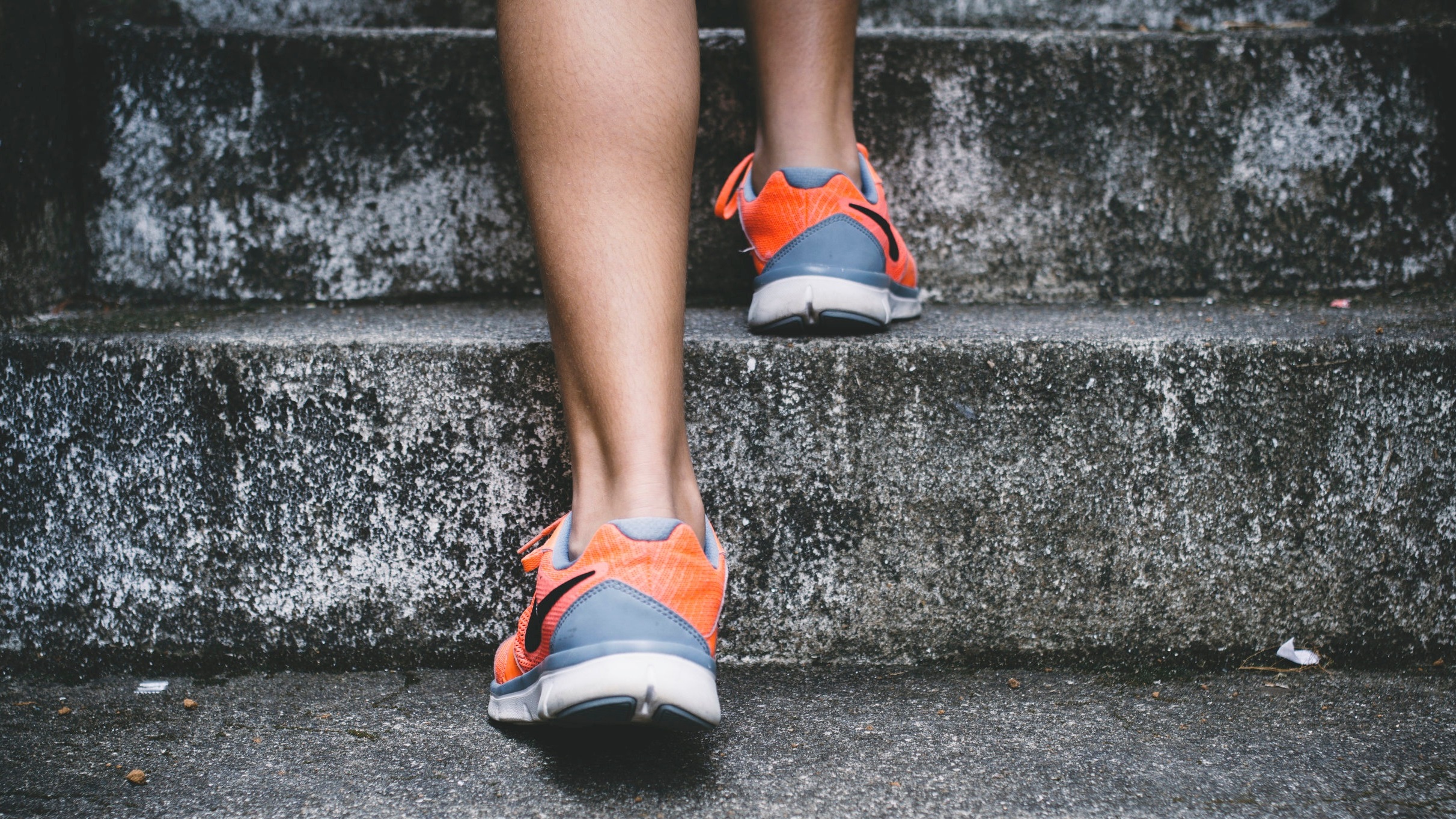 Hamburg_Farms_Apartments_Lexington_Experience_Fitness-Center-2018.jpg