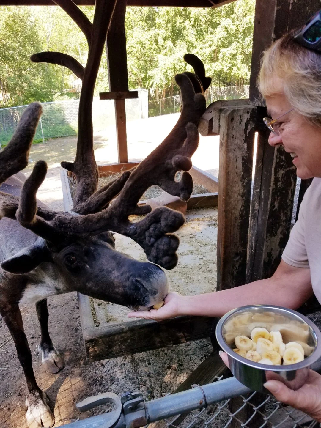 Photo by Sam Lavin, Zookeeper