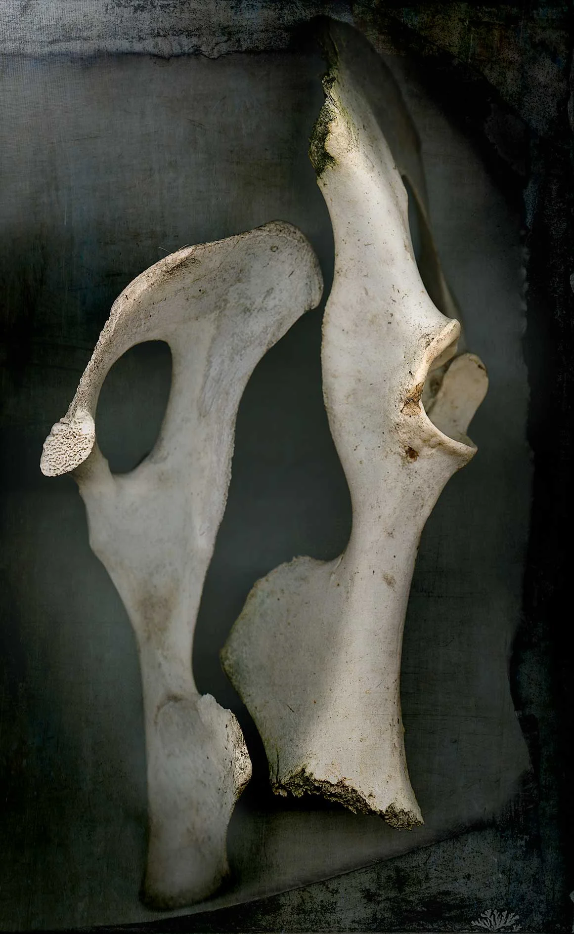 Spooning_.jpg