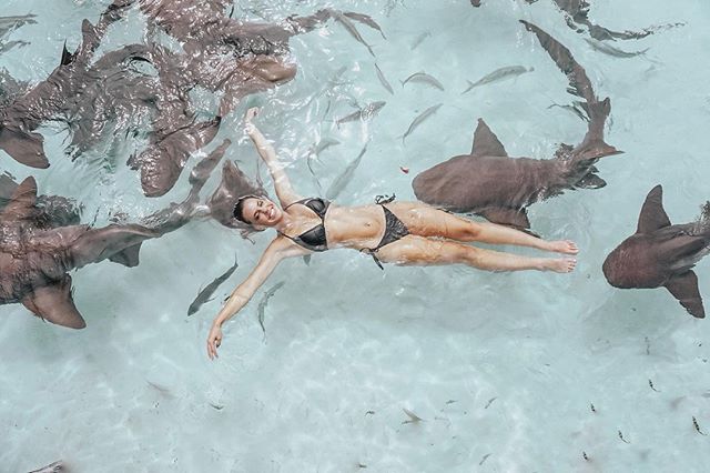 I told the sharks don&rsquo;t worry I won&rsquo;t bite 🦈 ⁠
&bull;⁠
&bull;⁠
&bull;⁠
&bull;⁠
Tag us @ExumasExperience #ExumasExperience to be featured.⁠
#travelawesome #travels #exumas #exumabahamas #travelplans #stanielcay #compasscay  #traveltheworl