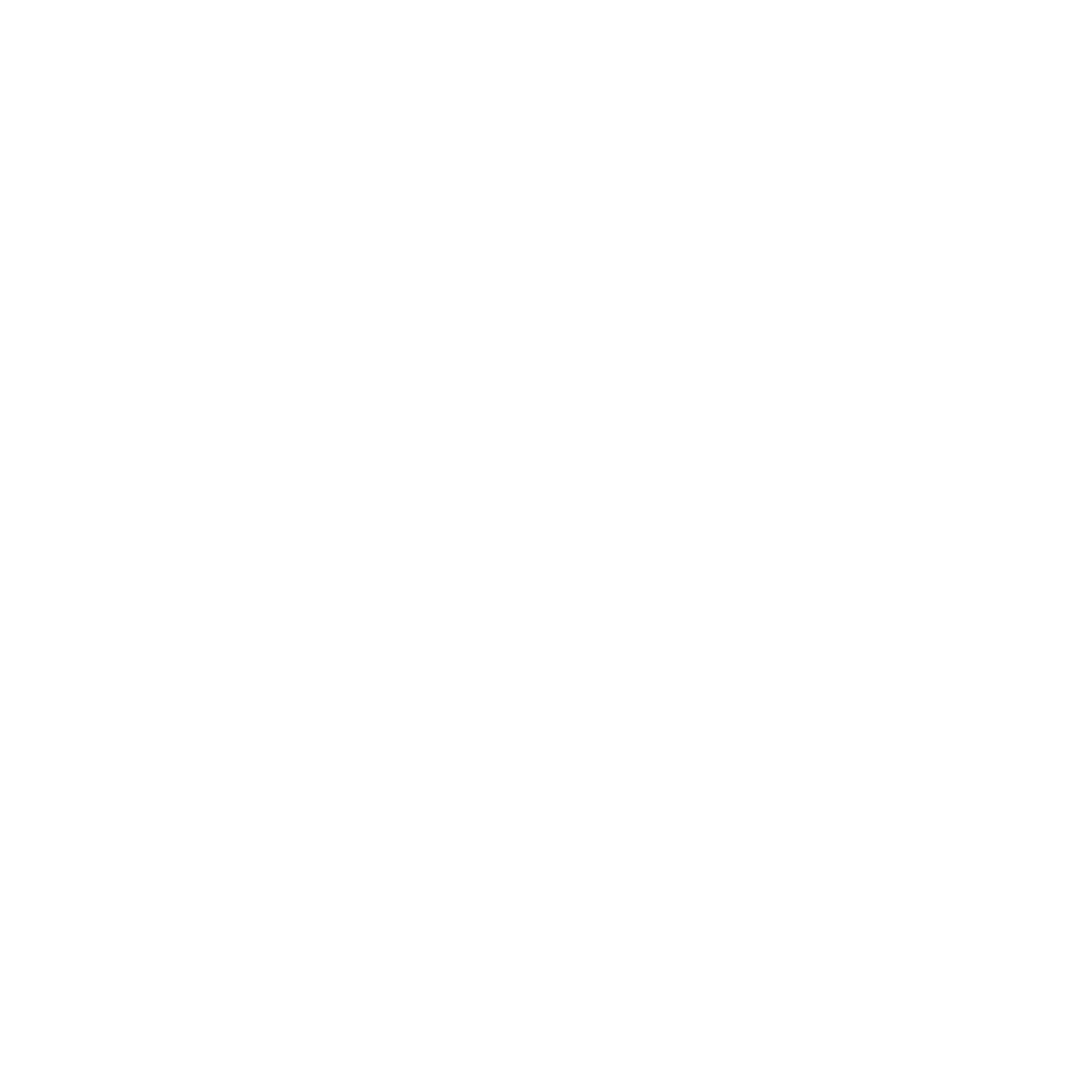 100 Thieves.png