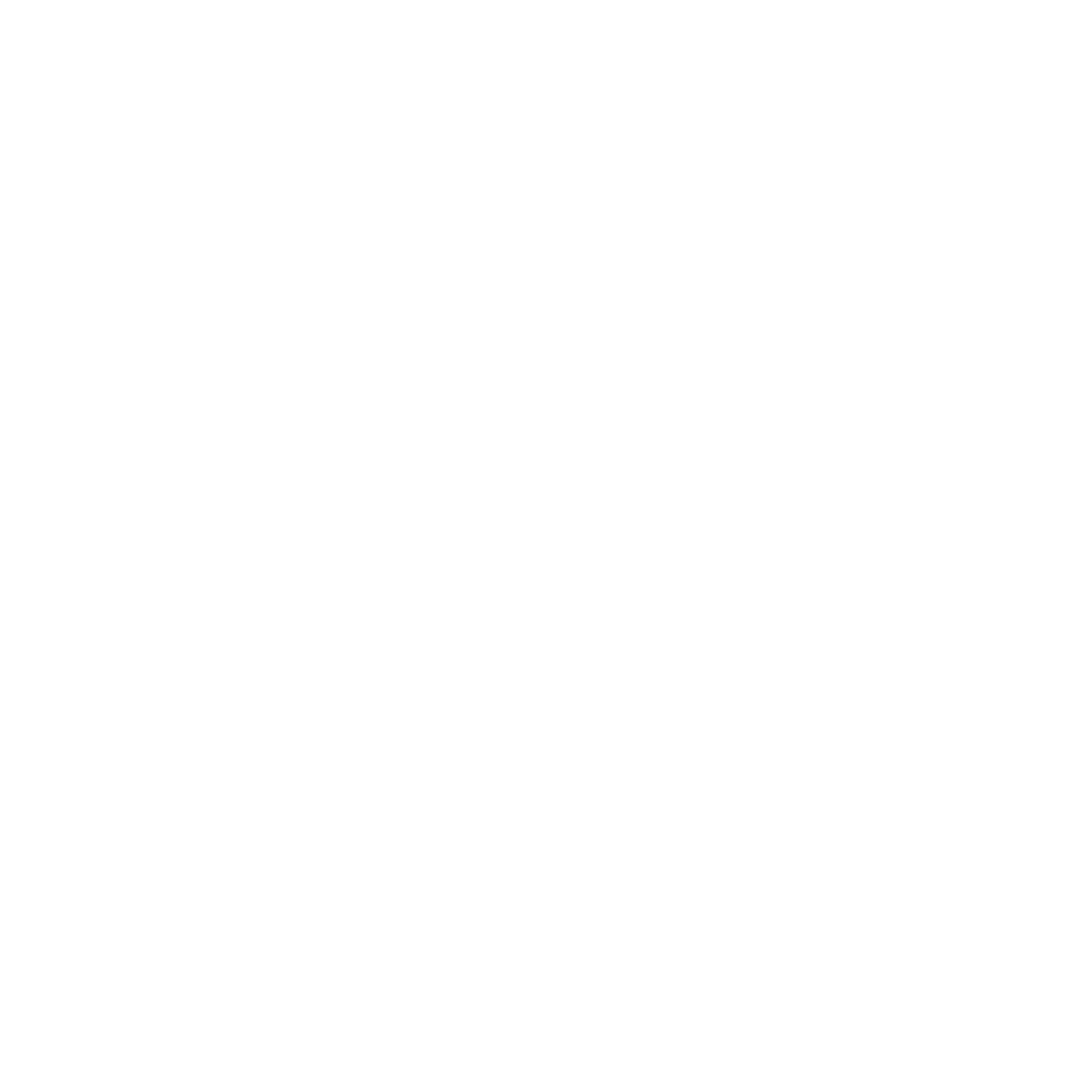 EV Connect.png