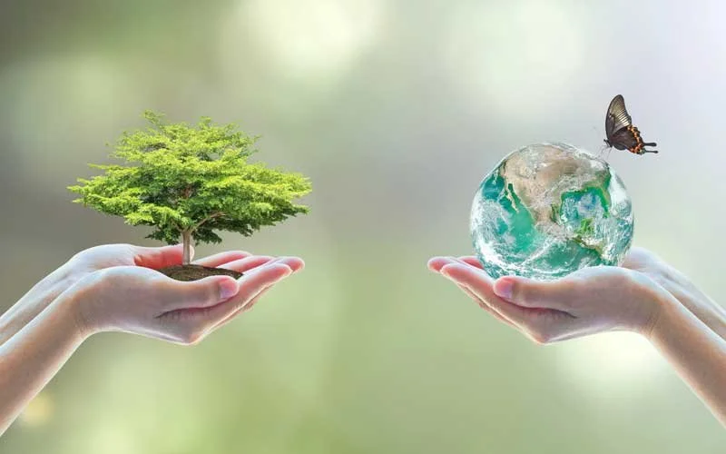 Investing in Environmental Wellness is Well Worth it for Office Owners