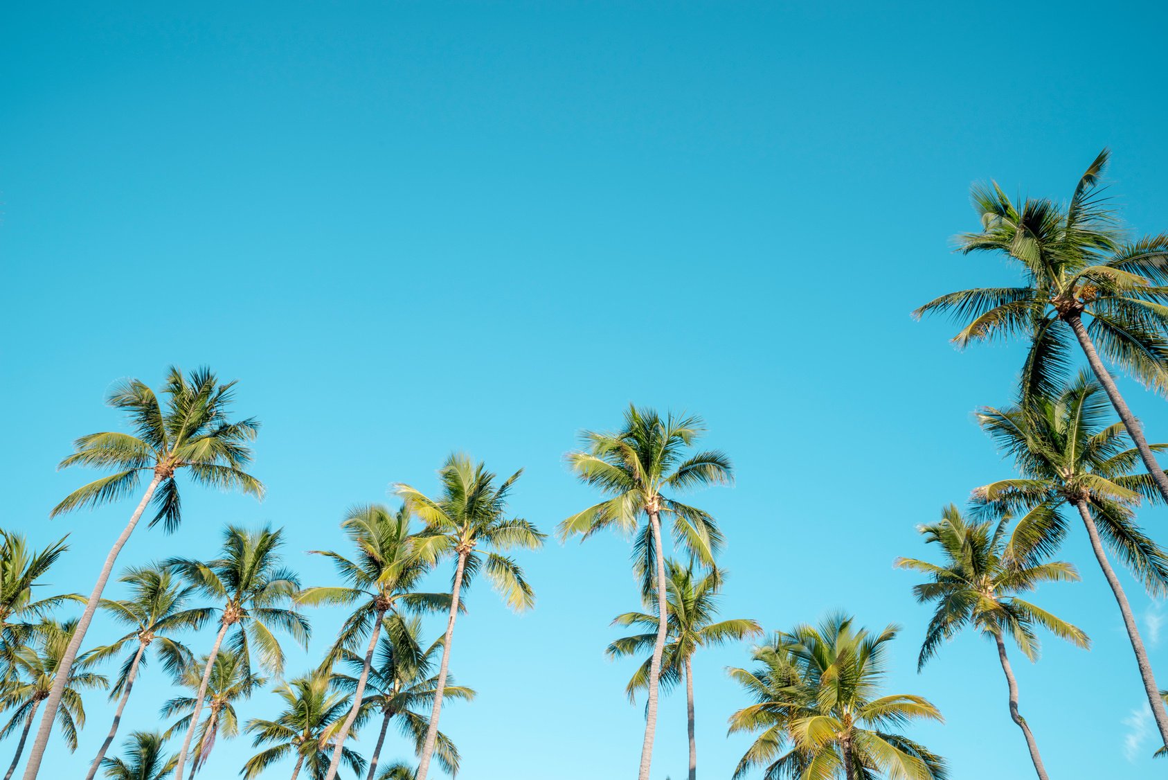 AdobeStock_171829506.jpeg