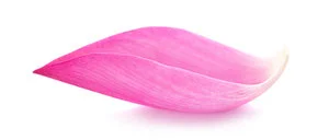 shutterstock_717763363.jpg