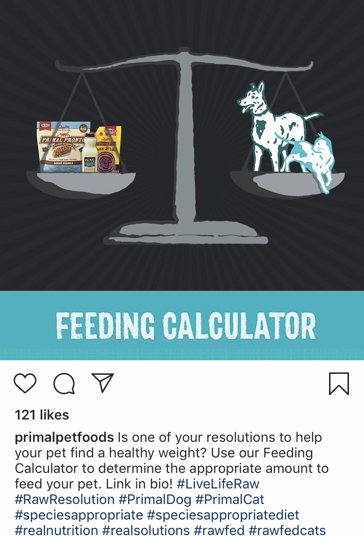fullsizeoutput_43.jpeg
