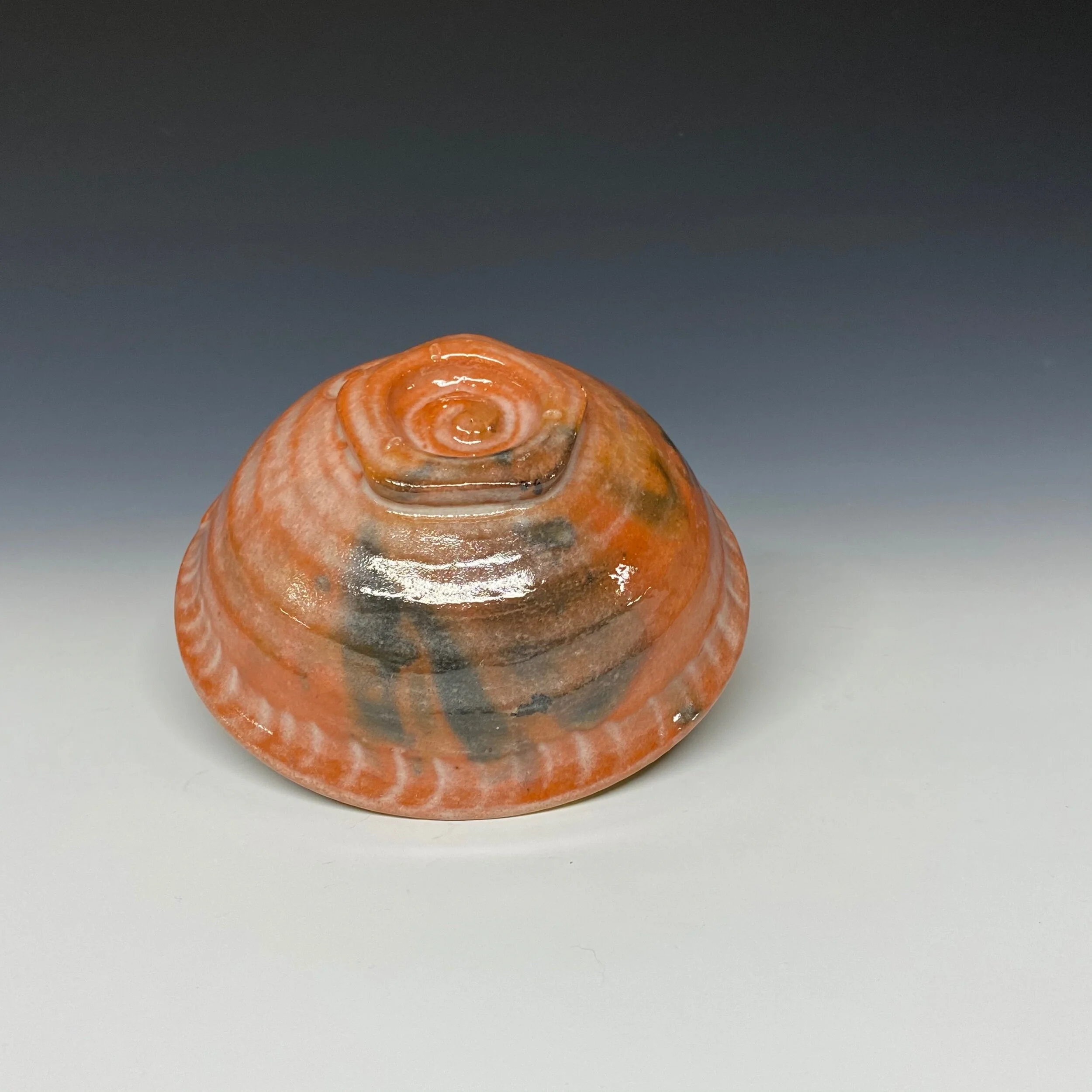 F1AFC210-04CE-4754-83DB-0BA75A2863F3