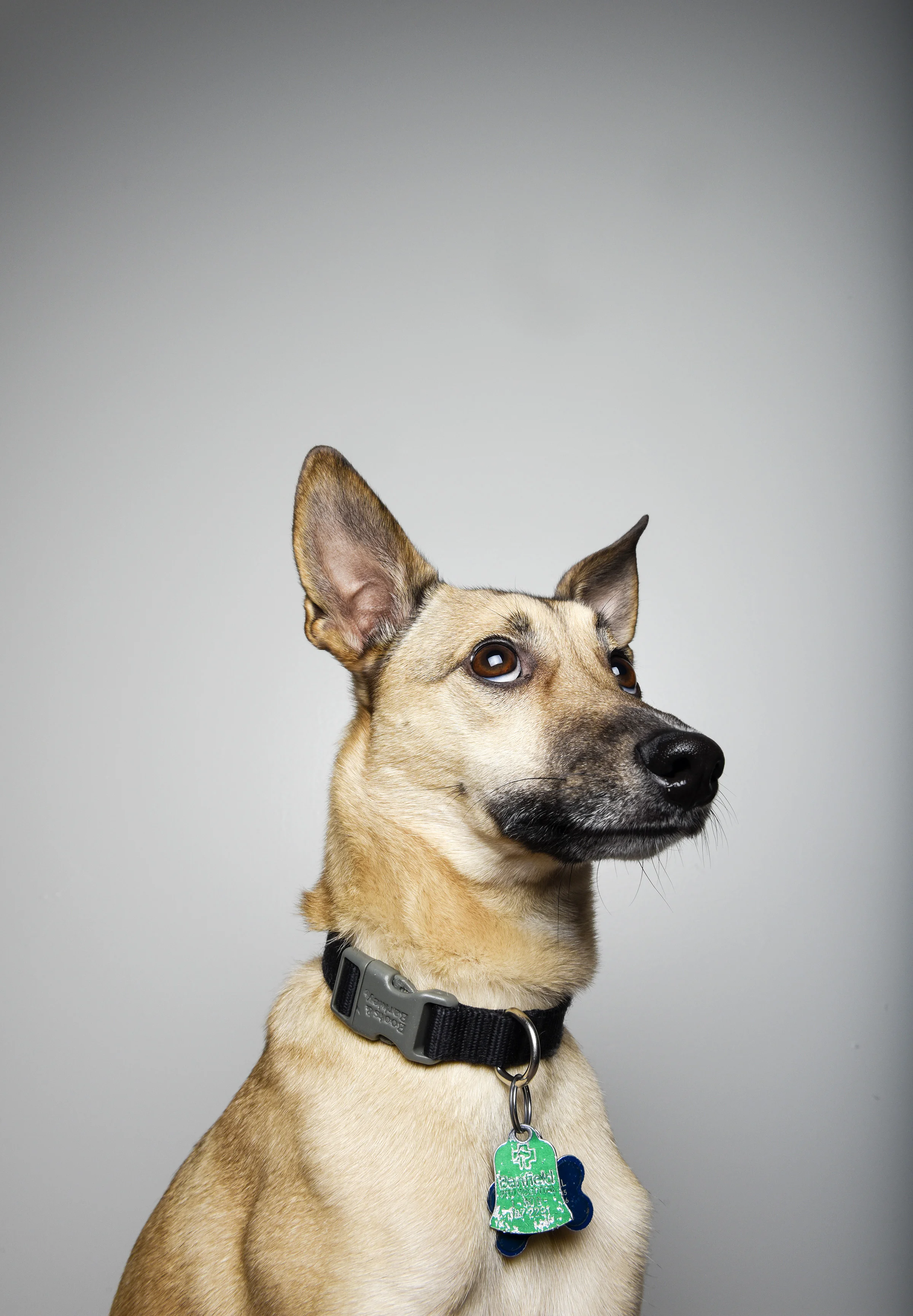 portrait01.jpg