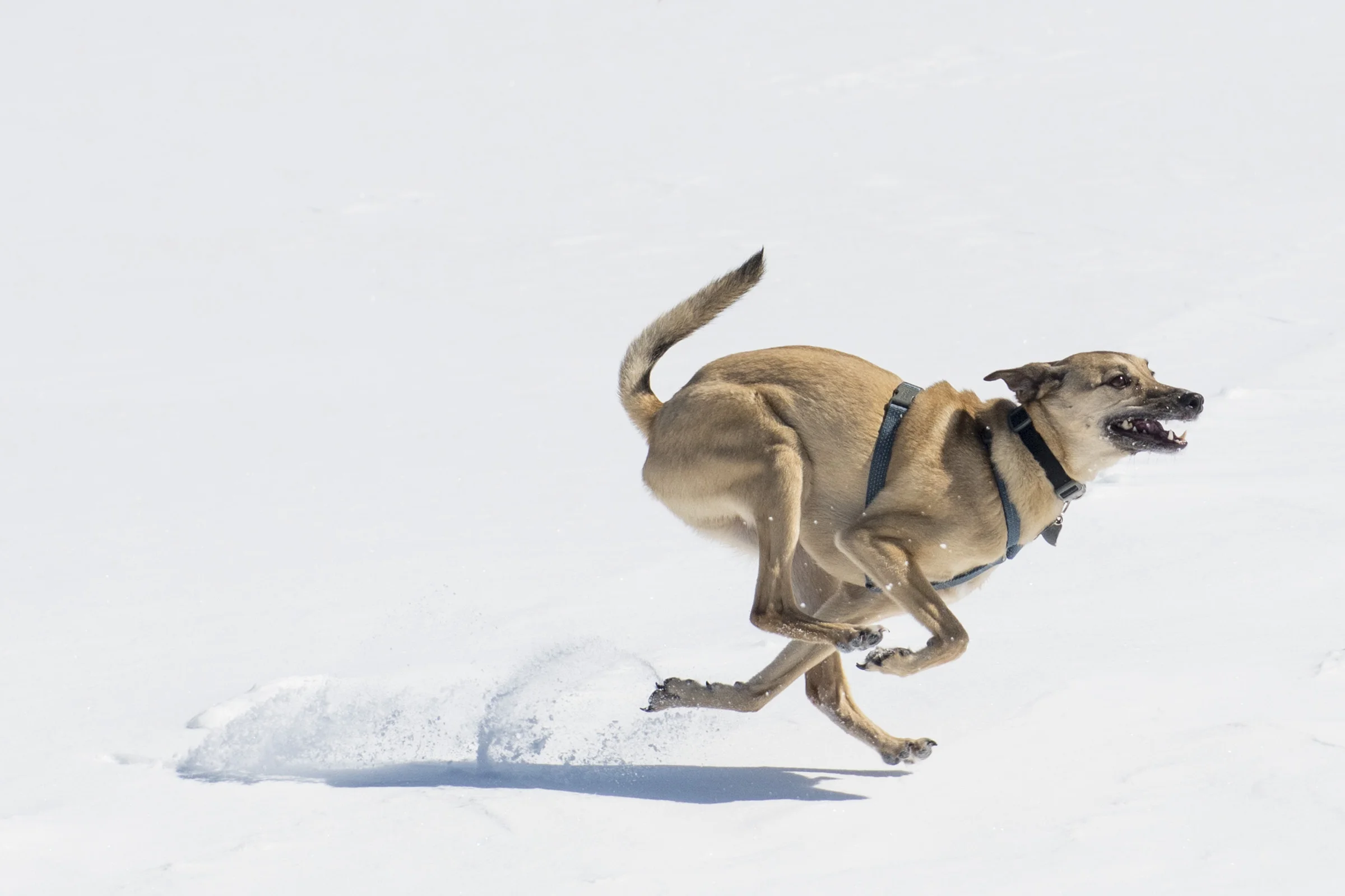 run01.jpg