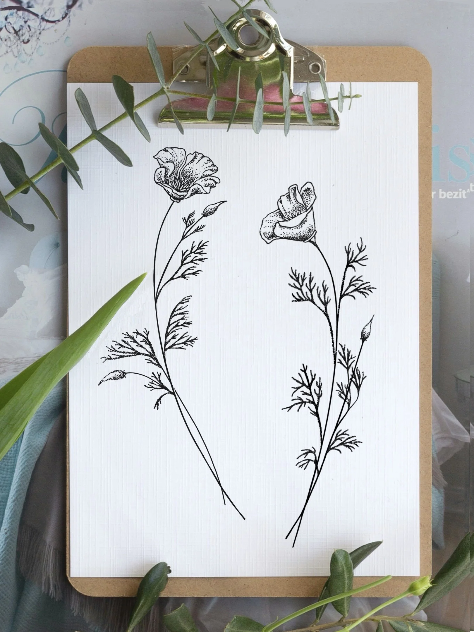 Jenny - Californian Poppies