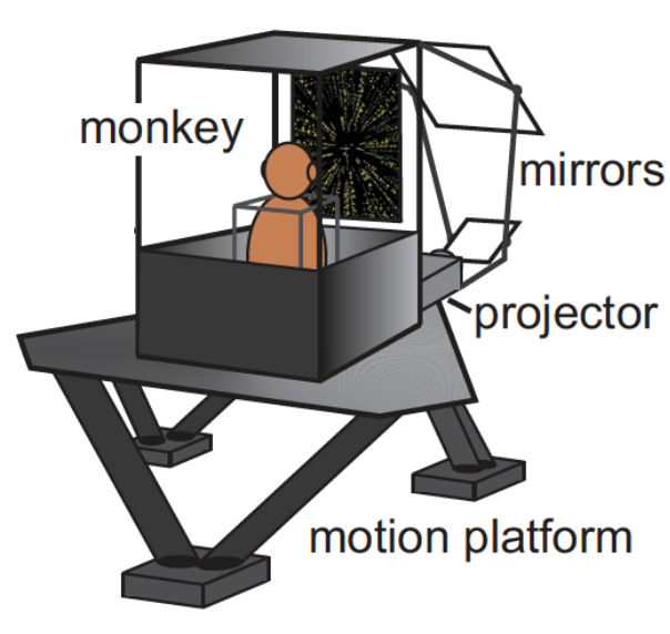 platform.png