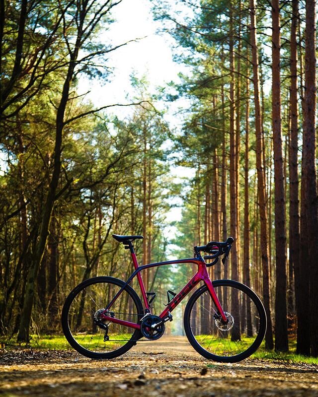 If anyone needs some bike product photos I&rsquo;m available for hire... my Domane Sl5 in forest this afternoon with a little help from @mavedorgan to get the photo! 📸🚴🏼&zwj;♂️💨🍂🌵 2nd photo by @mavedorgan #whereiride #trekbikes